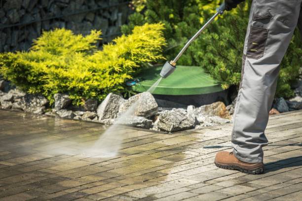 Best Winterizing Services  in South Pottstown, PA