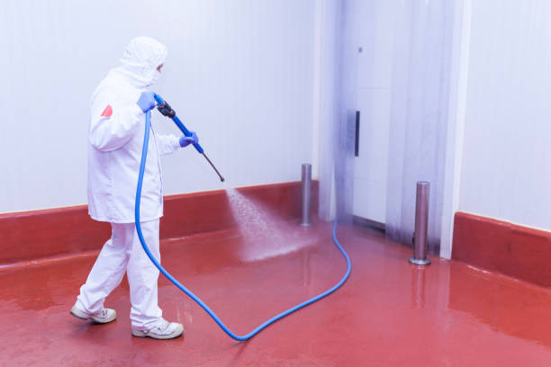 Spring Cleaning in South Pottstown, PA